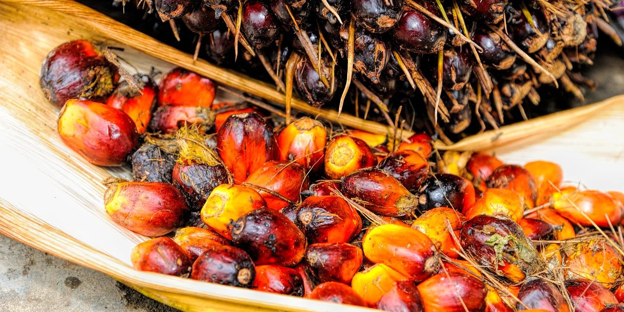 El aceite de palma