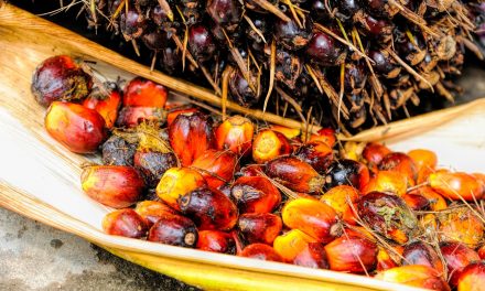 El aceite de palma